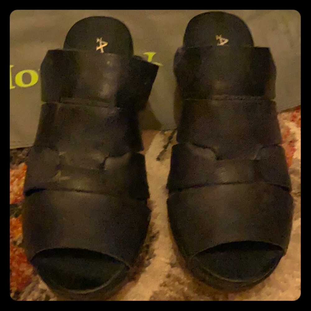 Shoesnavy Antelope